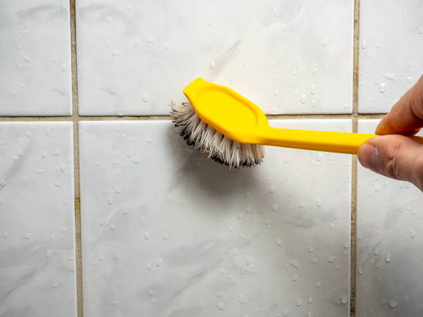 Best Emergency Mold Remediation in Seaford, DE